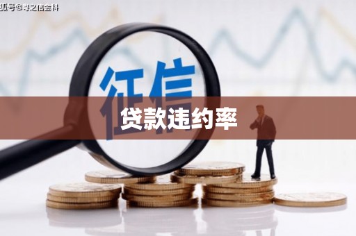 修水贷款违约率