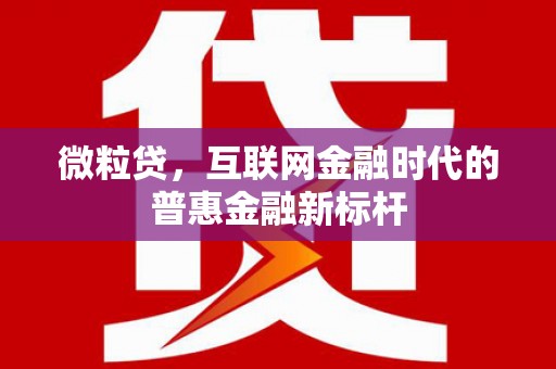 修水微粒贷，互联网金融时代的普惠金融新标杆