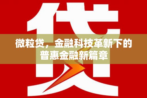 修水微粒贷，金融科技革新下的普惠金融新篇章