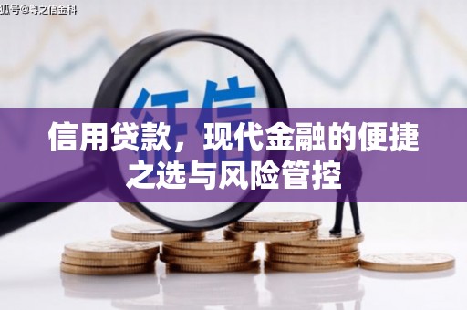 修水信用贷款，现代金融的便捷之选与风险管控