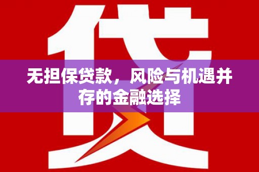 修水无担保贷款，风险与机遇并存的金融选择