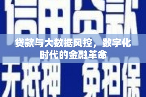 修水贷款与大数据风控，数字化时代的金融革命