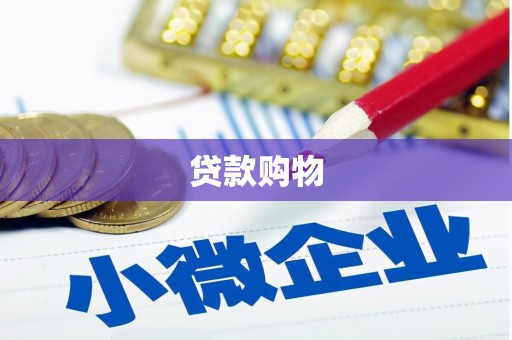 修水贷款购物