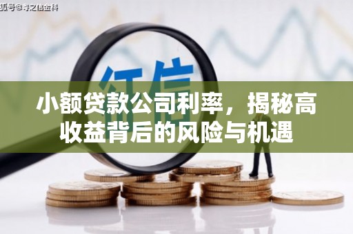 修水小额贷款公司利率，揭秘高收益背后的风险与机遇