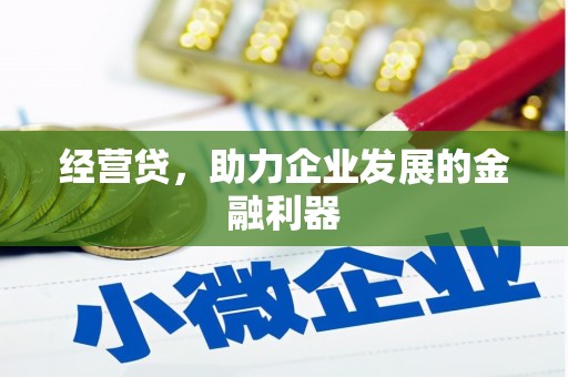修水经营贷，助力企业发展的金融利器