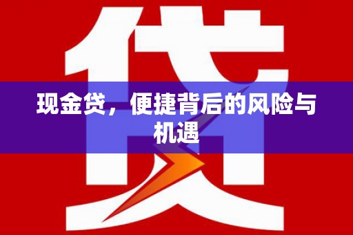 修水现金贷，便捷背后的风险与机遇