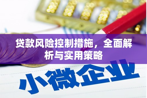修水贷款风险控制措施，全面解析与实用策略