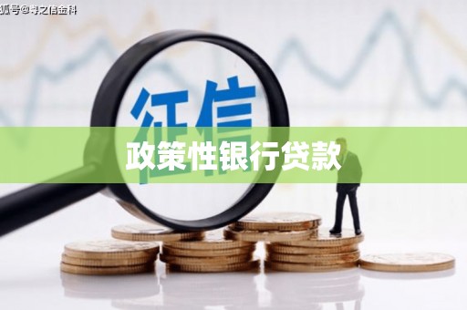 修水政策性银行贷款