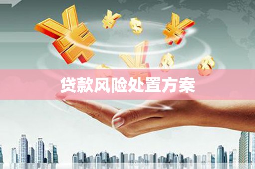 修水贷款风险处置方案