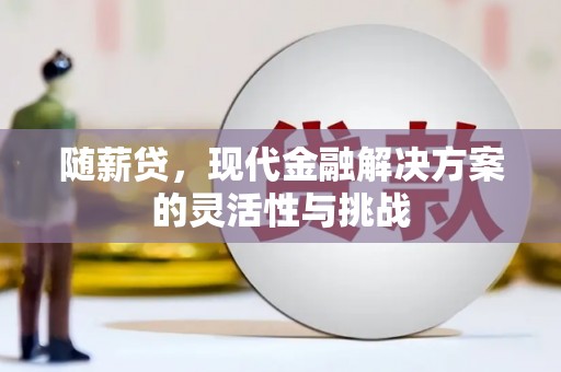 修水随薪贷，现代金融解决方案的灵活性与挑战