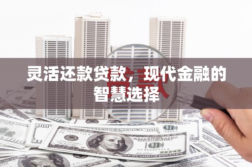 修水灵活还款贷款，现代金融的智慧选择