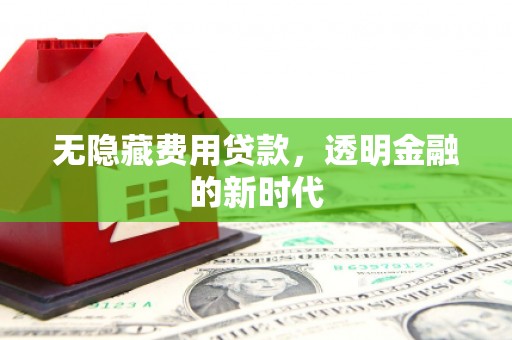 修水无隐藏费用贷款，透明金融的新时代