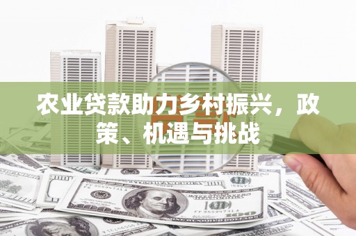 修水农业贷款助力乡村振兴，政策、机遇与挑战