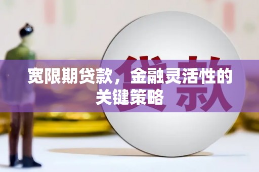 修水宽限期贷款，金融灵活性的关键策略