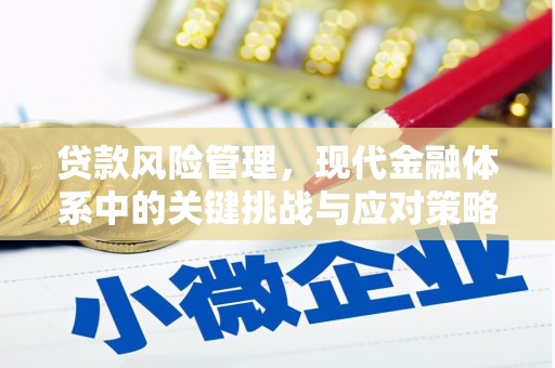 修水贷款风险管理，现代金融体系中的关键挑战与应对策略