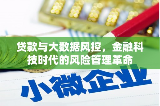 修水贷款与大数据风控，金融科技时代的风险管理革命
