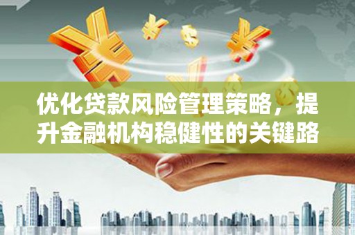 修水优化贷款风险管理策略，提升金融机构稳健性的关键路径