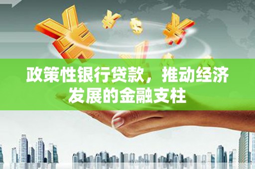 修水政策性银行贷款，推动经济发展的金融支柱