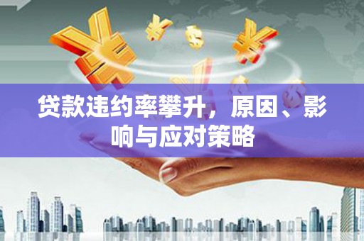 修水贷款违约率攀升，原因、影响与应对策略