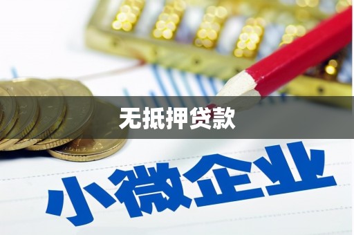 修水无抵押贷款