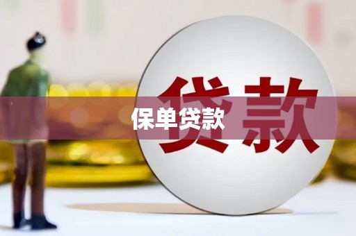 修水保单贷款