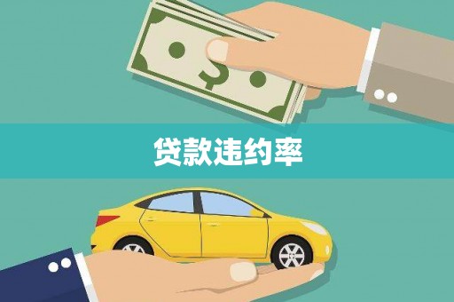 修水贷款违约率