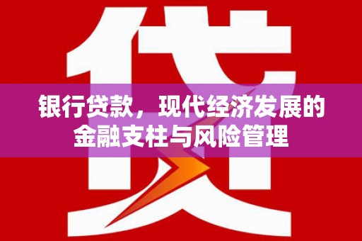 修水银行贷款，现代经济发展的金融支柱与风险管理
