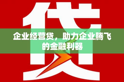 修水企业经营贷，助力企业腾飞的金融利器