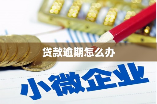 修水贷款逾期怎么办