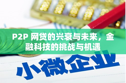 修水P2P 网贷的兴衰与未来，金融科技的挑战与机遇
