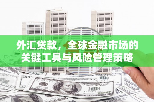 修水外汇贷款，全球金融市场的关键工具与风险管理策略
