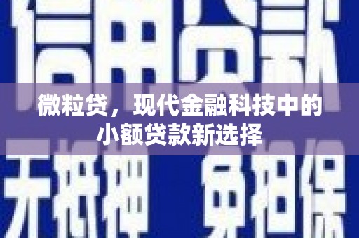 修水微粒贷，现代金融科技中的小额贷款新选择