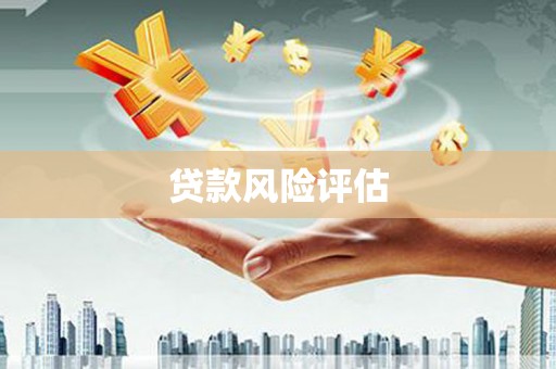 修水贷款风险评估