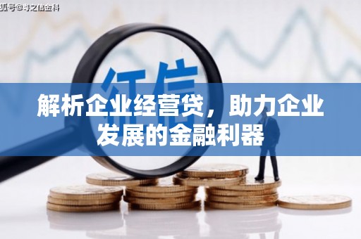 修水解析企业经营贷，助力企业发展的金融利器