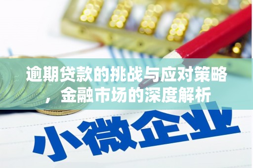 修水逾期贷款的挑战与应对策略，金融市场的深度解析