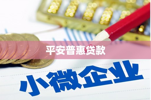 修水平安普惠贷款