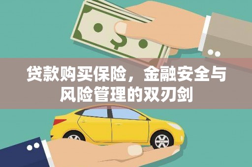 修水贷款购买保险，金融安全与风险管理的双刃剑