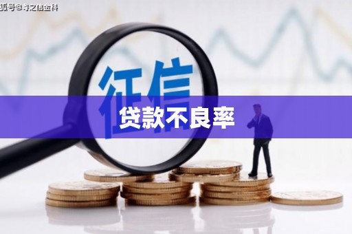 修水贷款不良率