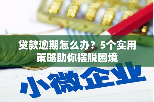 修水贷款逾期怎么办？5个实用策略助你摆脱困境