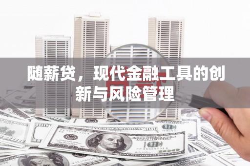 修水随薪贷，现代金融工具的创新与风险管理