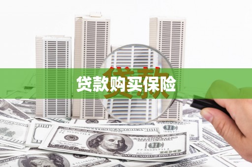 修水贷款购买保险