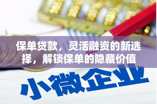 修水保单贷款，灵活融资的新选择，解锁保单的隐藏价值