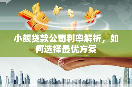 修水小额贷款公司利率解析，如何选择最优方案