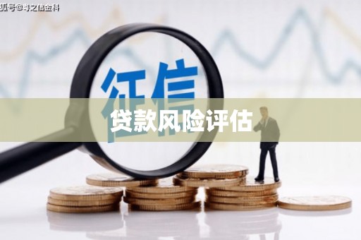 修水贷款风险评估