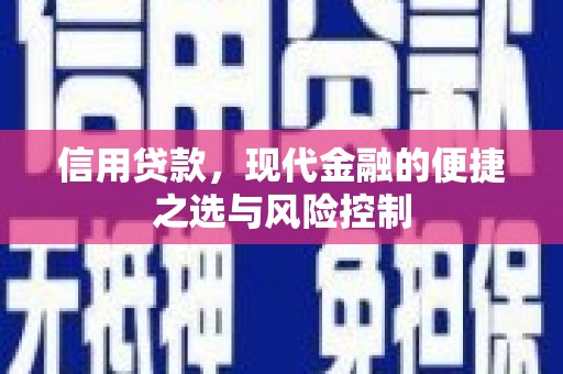 修水信用贷款，现代金融的便捷之选与风险控制