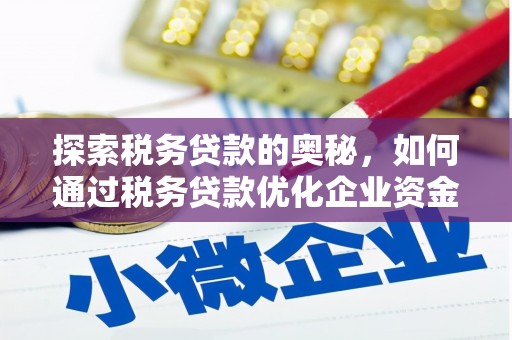 修水探索税务贷款的奥秘，如何通过税务贷款优化企业资金流