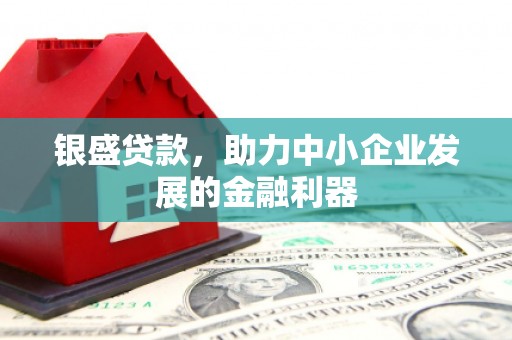 修水银盛贷款，助力中小企业发展的金融利器