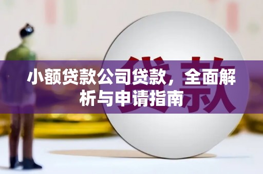 修水小额贷款公司贷款，全面解析与申请指南