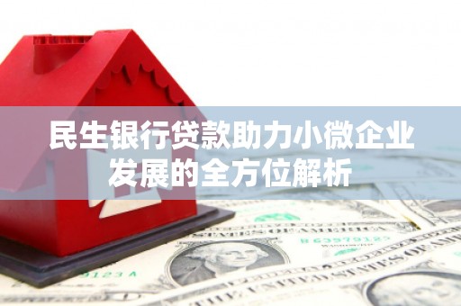 修水民生银行贷款助力小微企业发展的全方位解析