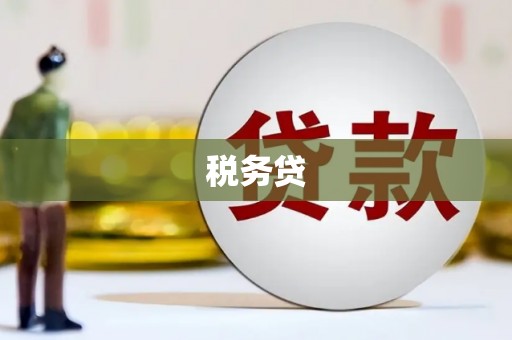 修水税务贷